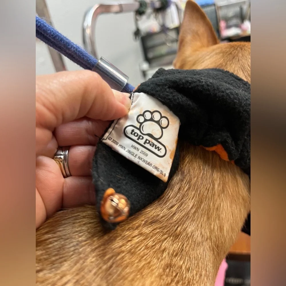 Halloween Orange and Black Dog Costume